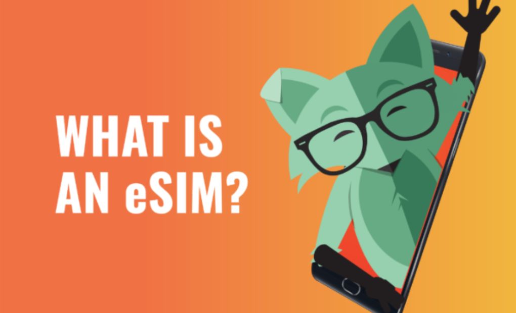 Mint Mobile eSim Activation: How Does Mint eSIM Work?