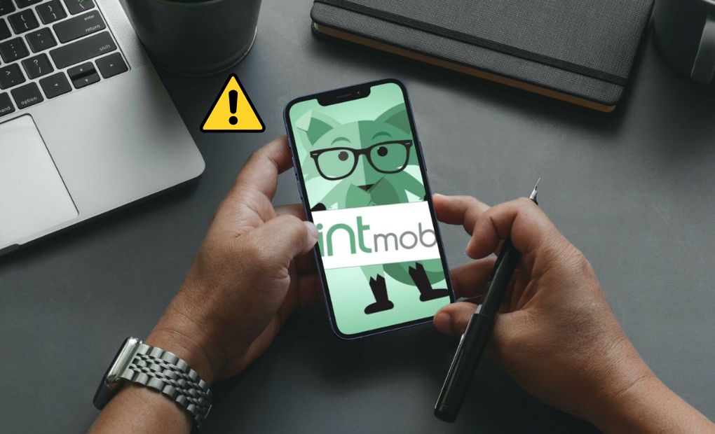 Mint Mobile Data Not Working: Check out Solution!